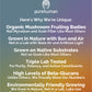 Chaga Extract Capsules