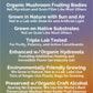 Cordyceps Liquid Extract with Frankincense Hydrosol