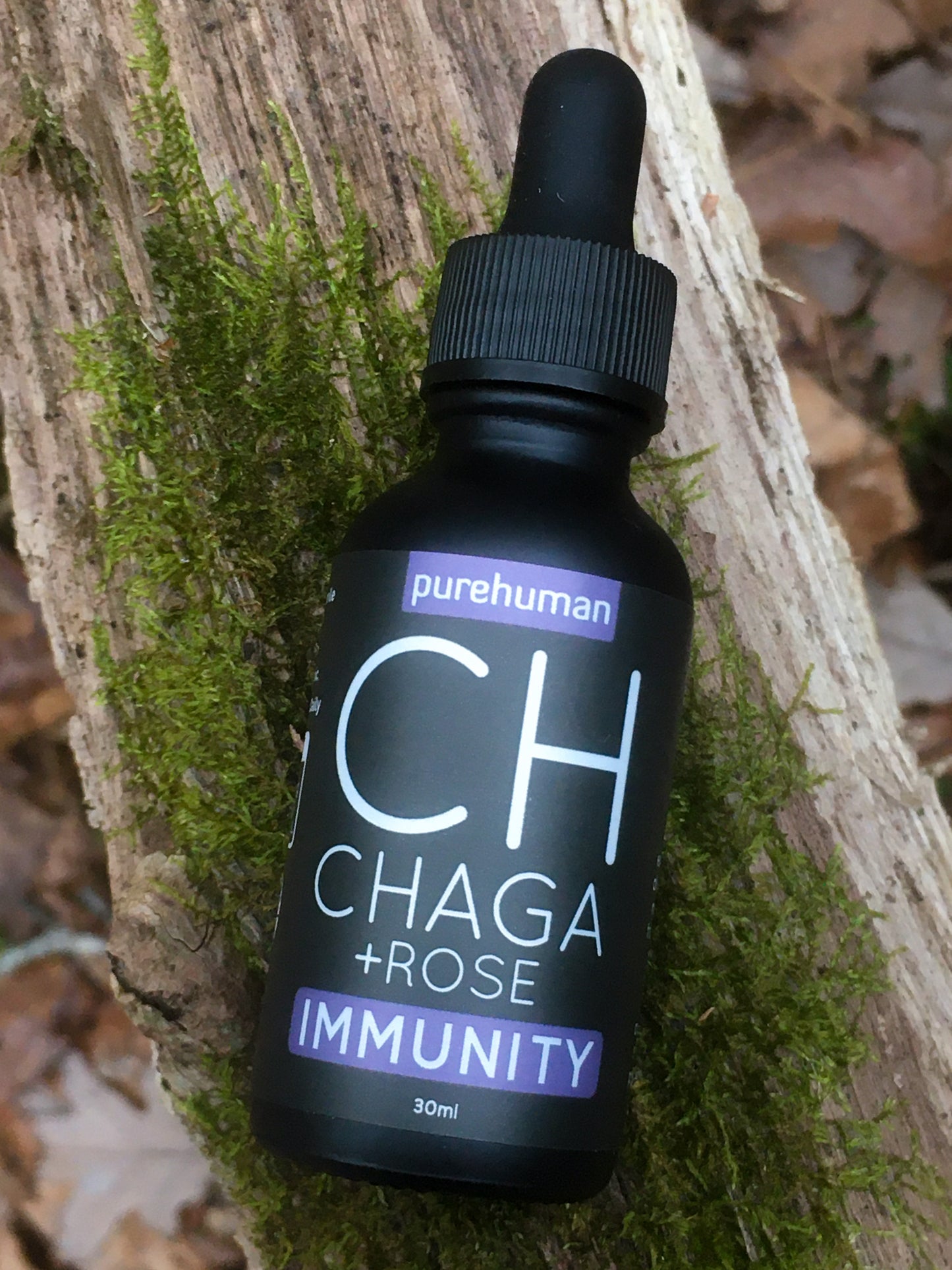 Chaga Liquid Extract with Rose Hydrosol