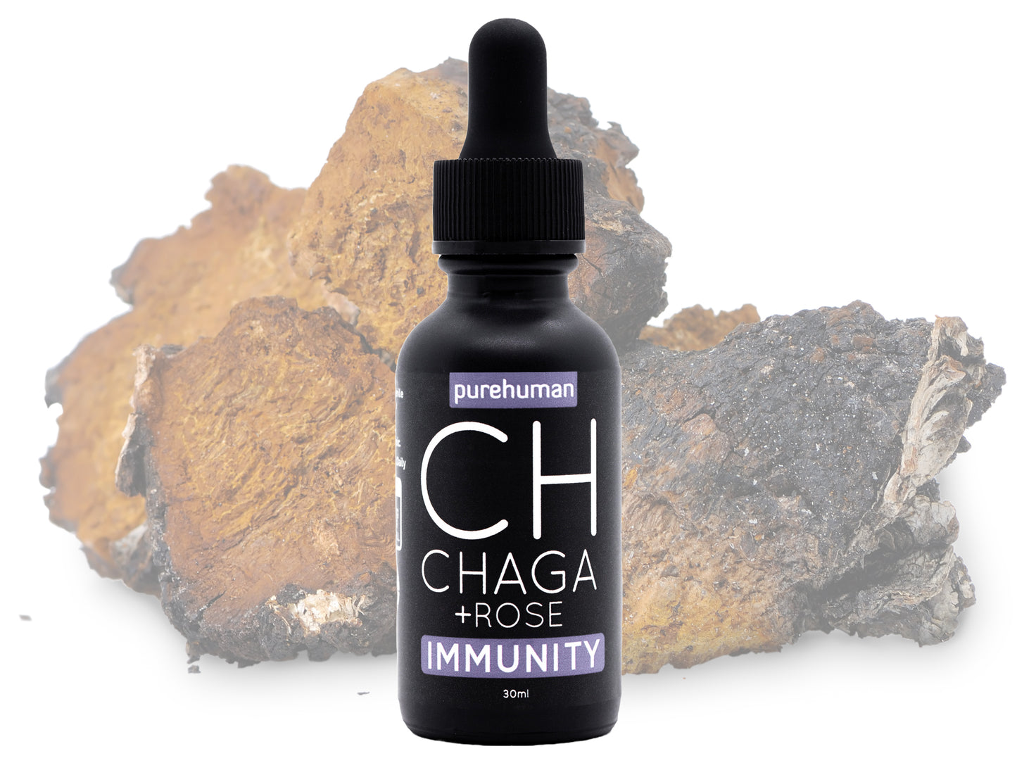 Chaga Liquid Extract with Rose Hydrosol