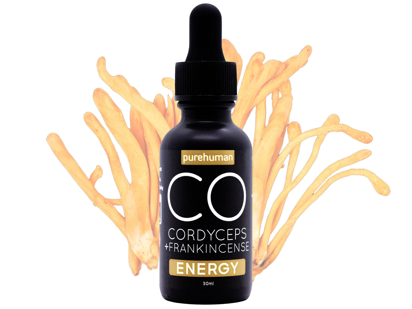 Cordyceps Liquid Extract with Frankincense Hydrosol