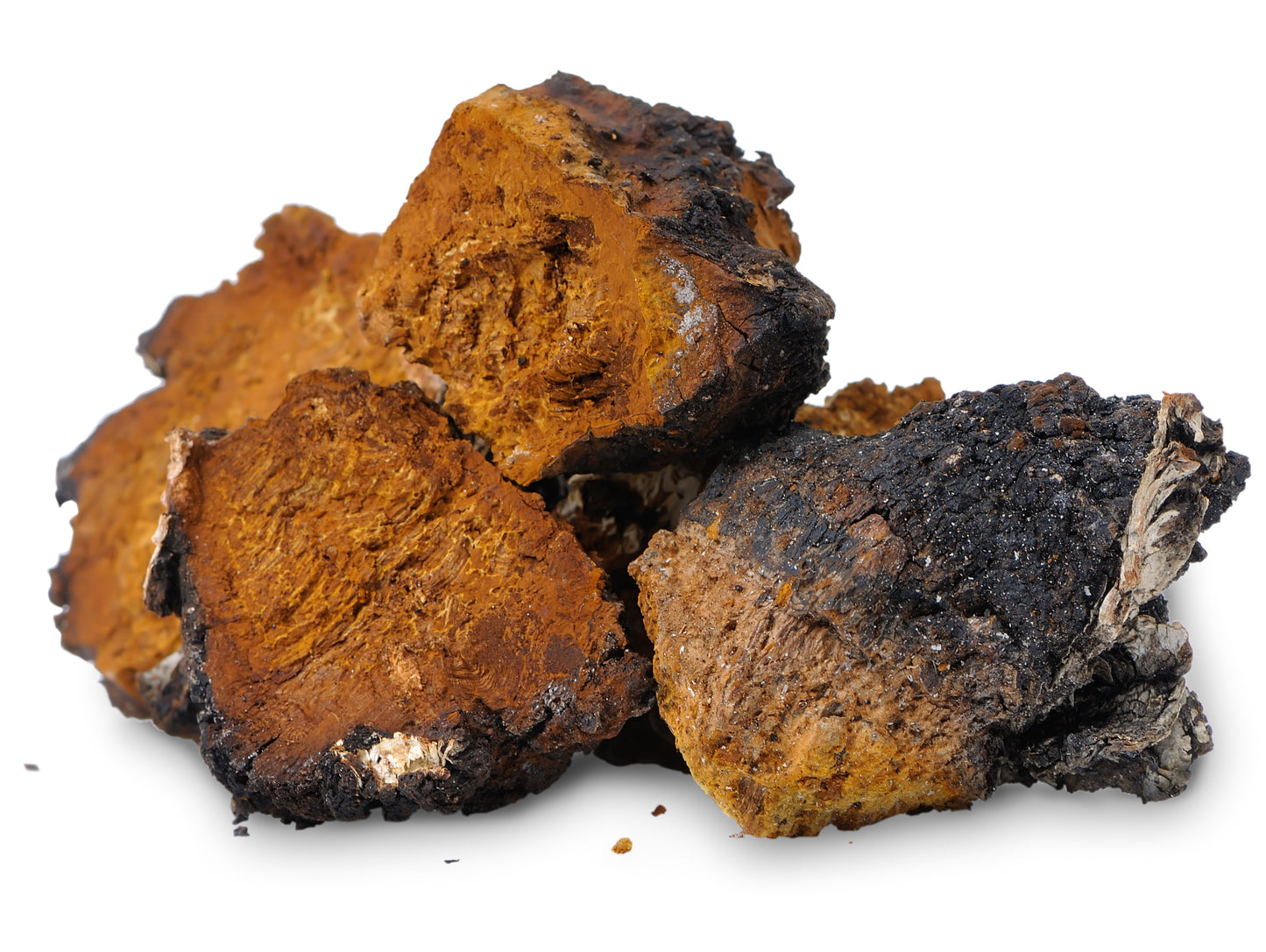 Chaga Extract Capsules