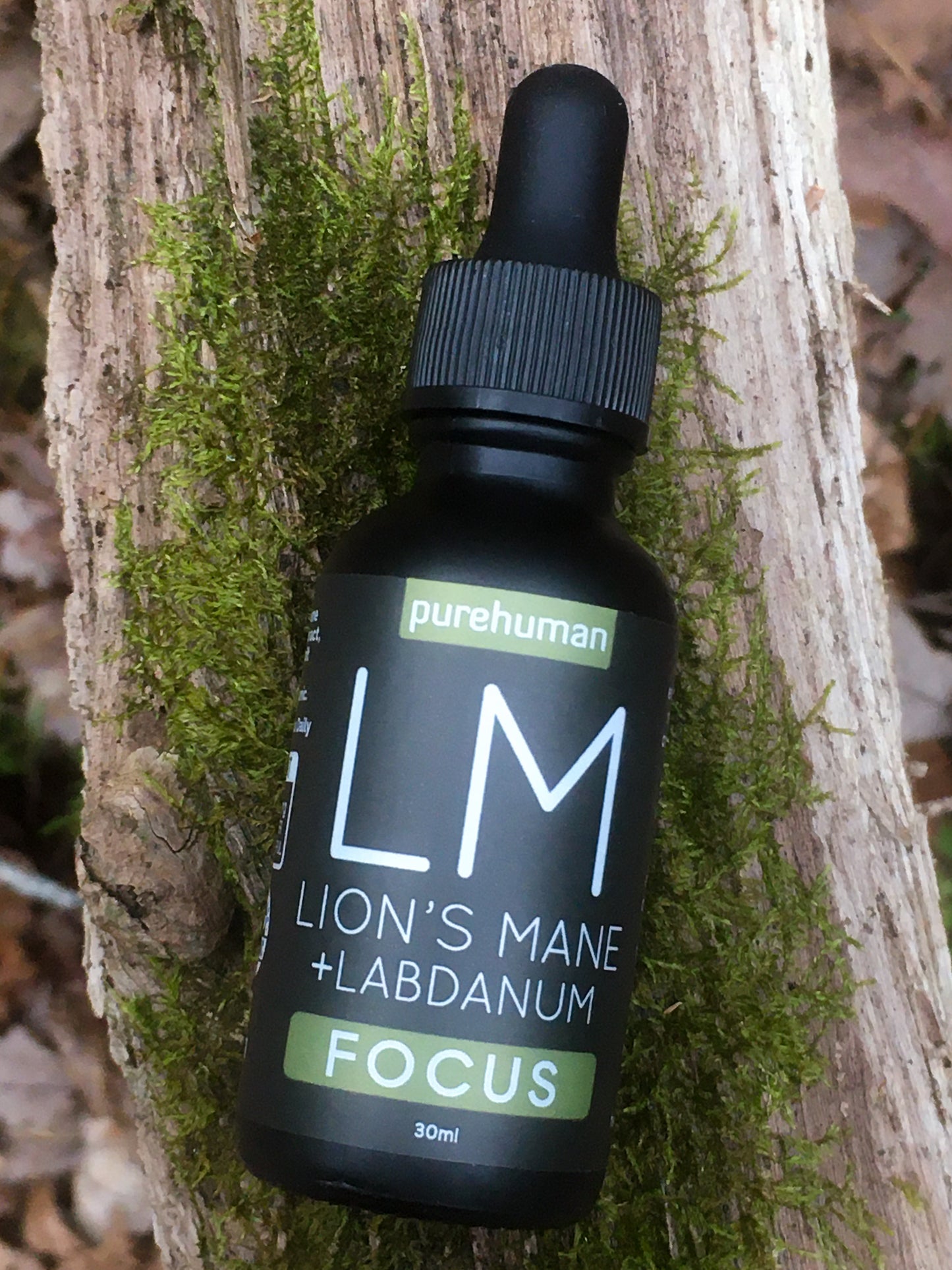 Lion's Mane Liquid Extract with Labdanum Hydrosol