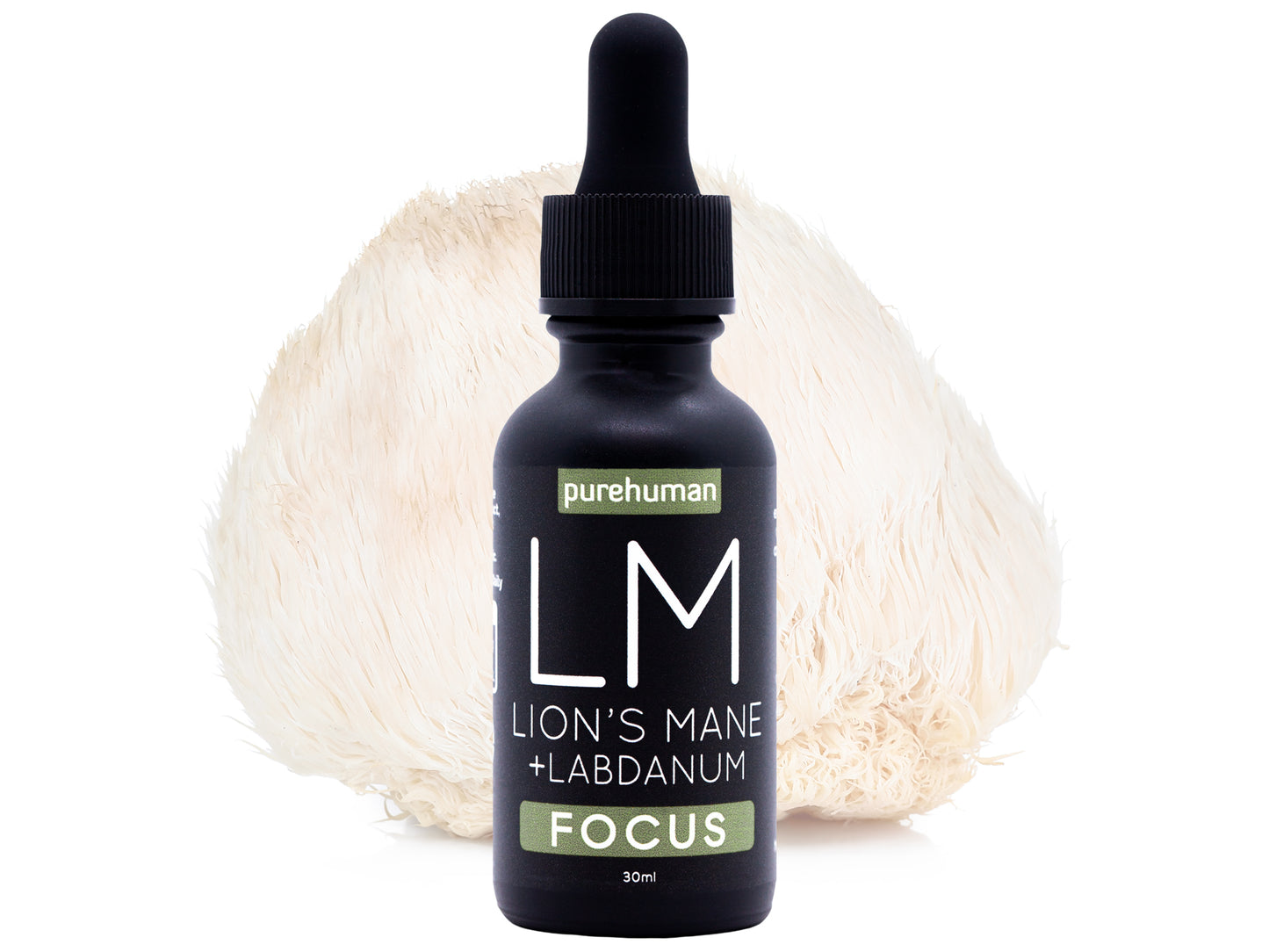 Lion's Mane Liquid Extract with Labdanum Hydrosol