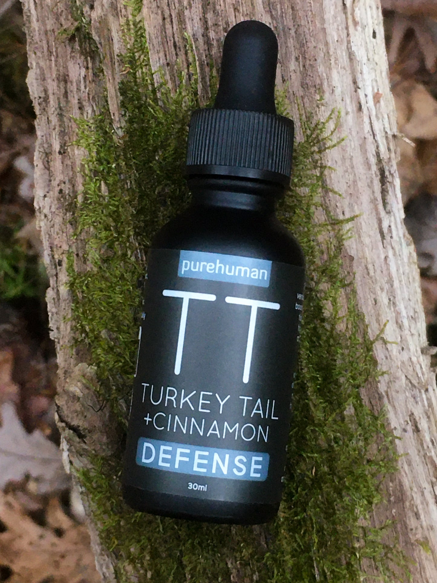 Turkey Tail Liquid Extract with Cinnamon Hydrosol