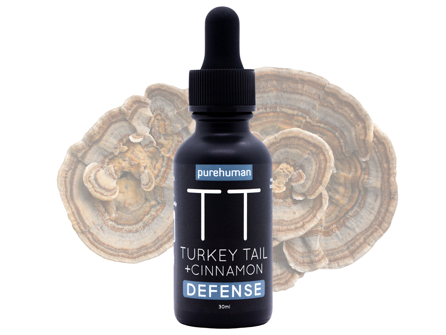 Turkey Tail Liquid Extract with Cinnamon Hydrosol