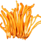 Cordyceps Extract Capsules