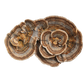 Turkey Tail Extract Capsules